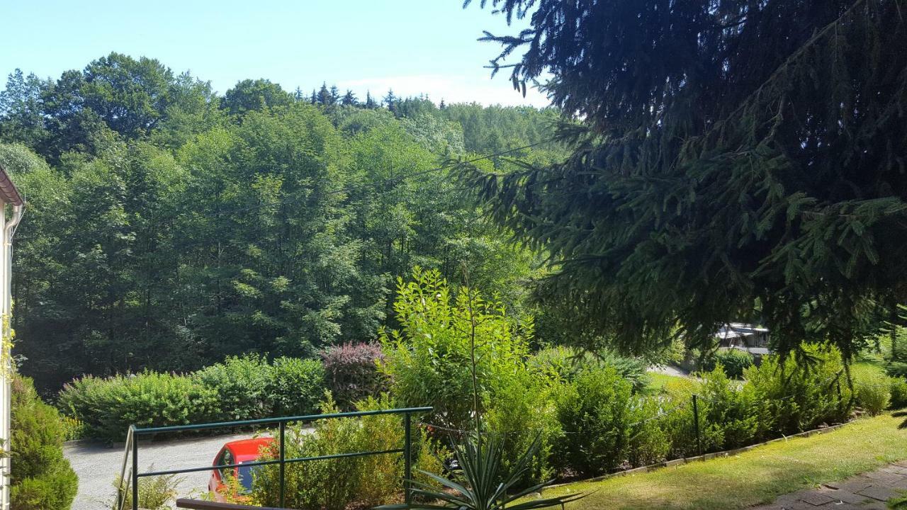 Pension Waldfrieden Βόλκενσταϊν Εξωτερικό φωτογραφία